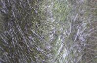 Upper Framilode fibreglass roof work