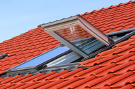 Upper Framilode roof window